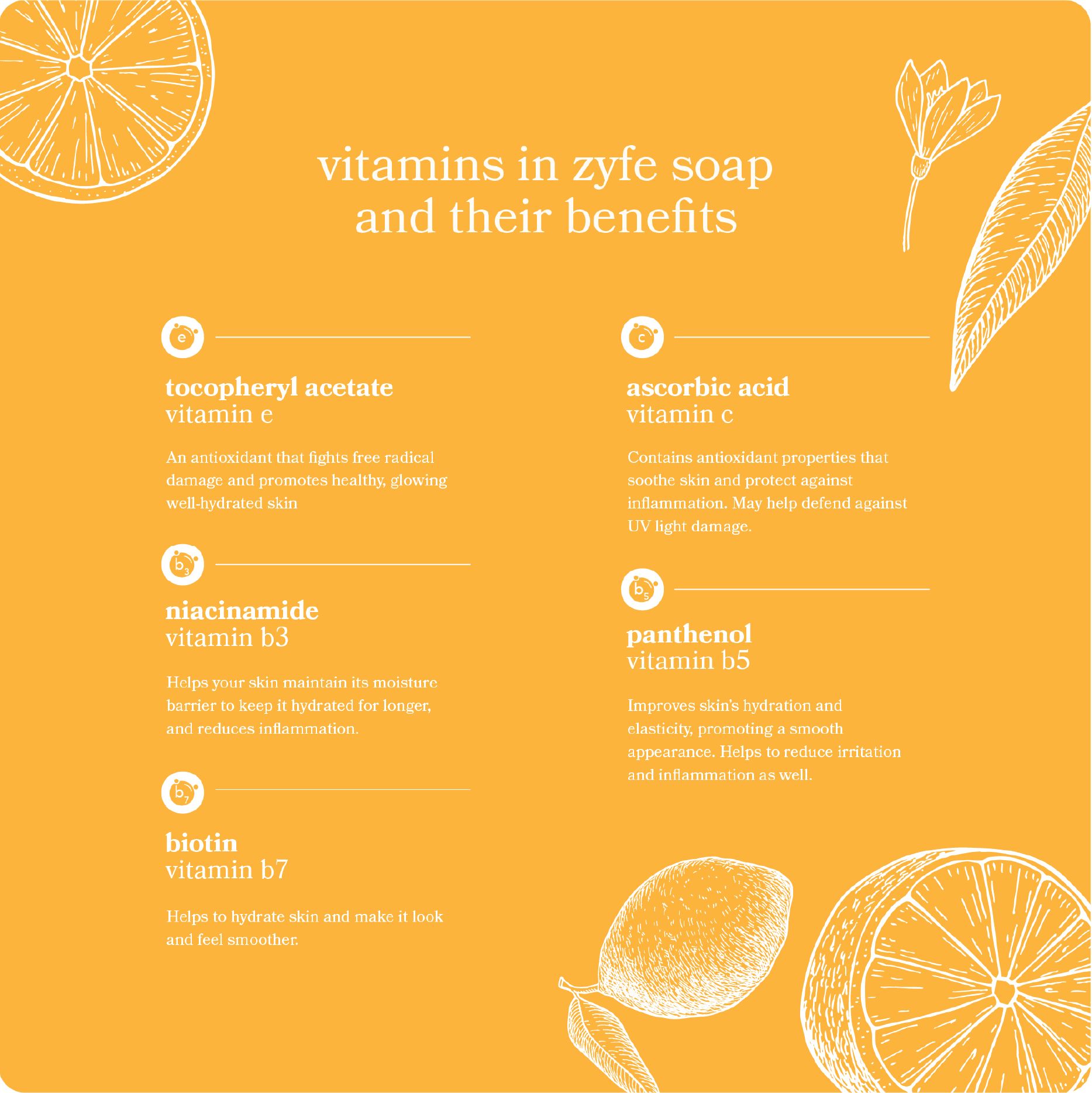 infographic on the benefits of the vitamins in zyfe soap.